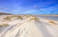 Jonge duinvorming op Texel / Young dunes on Texel / justinsinner.nl