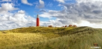 Vuurtoren van Texel in een prachig duinlandschap / Texel lighthouse in a beautiful dunelandscape