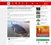 Stranding Potvissen op Texel / Dead sperm whales on Texel / TVGids jan 2016